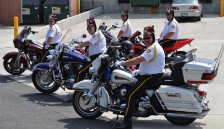 Motor Unit